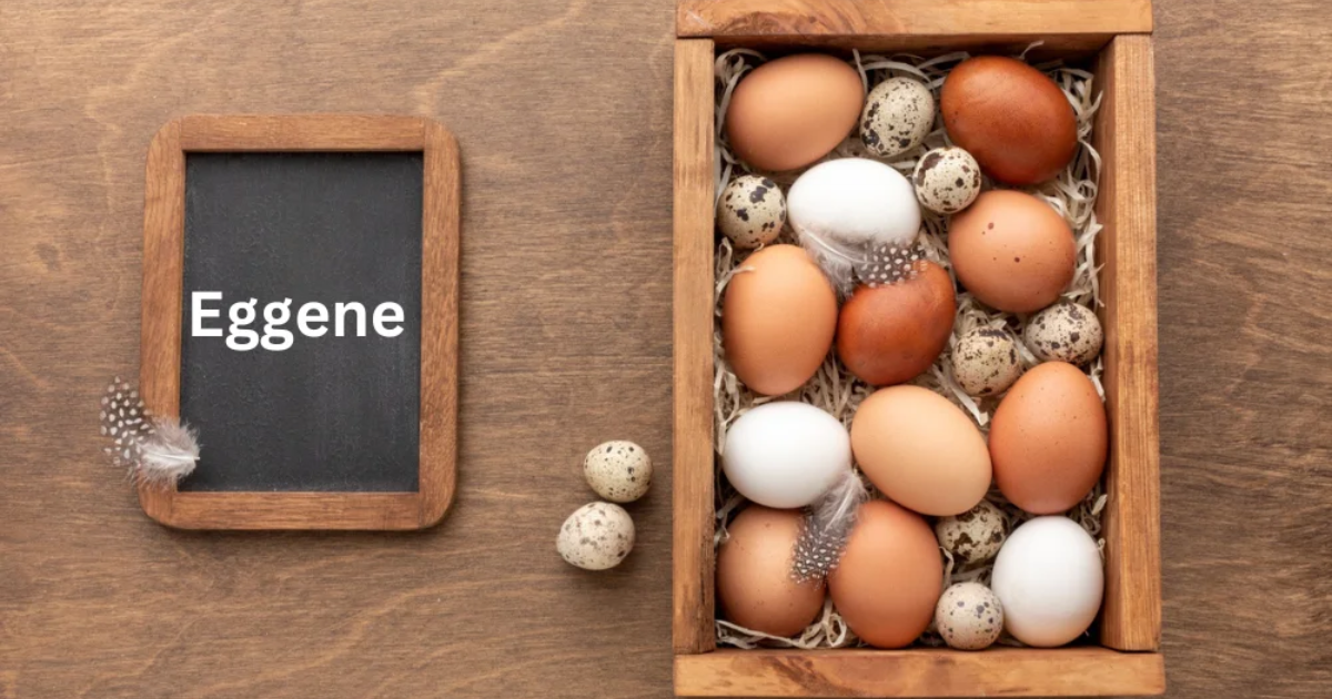 Eggene Explained: The Genetic Innovation Everyone is Talking About